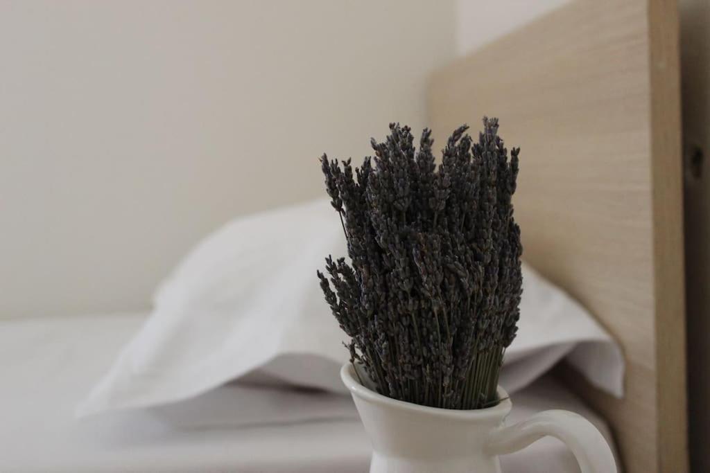 Lavandula Ring Tirana Esterno foto