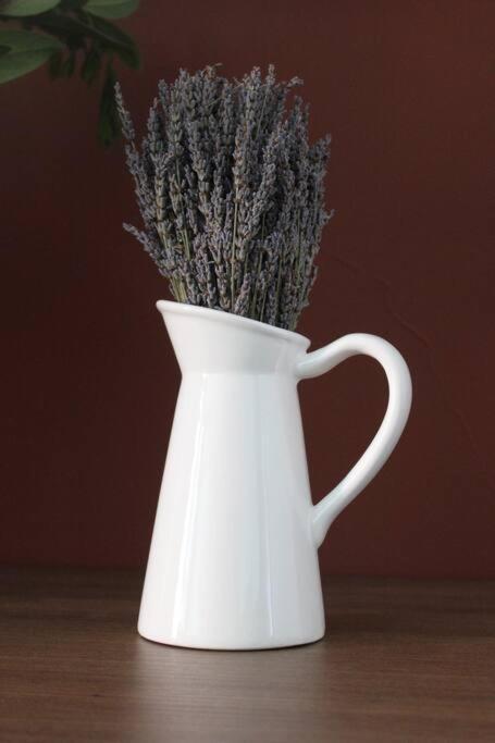 Lavandula Ring Tirana Esterno foto